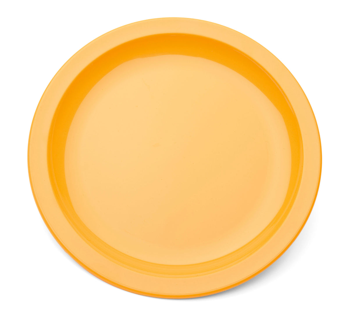 Copolyester Dinner Plate 23cm