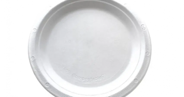 9" White Greenspirit Paper Plates (1x100)