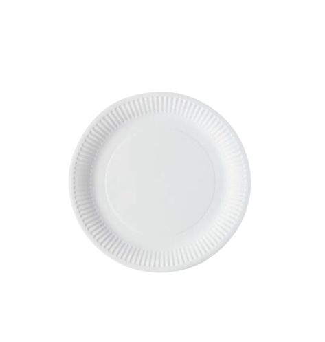 6" White Greenspirit Paper Plates (20x100)