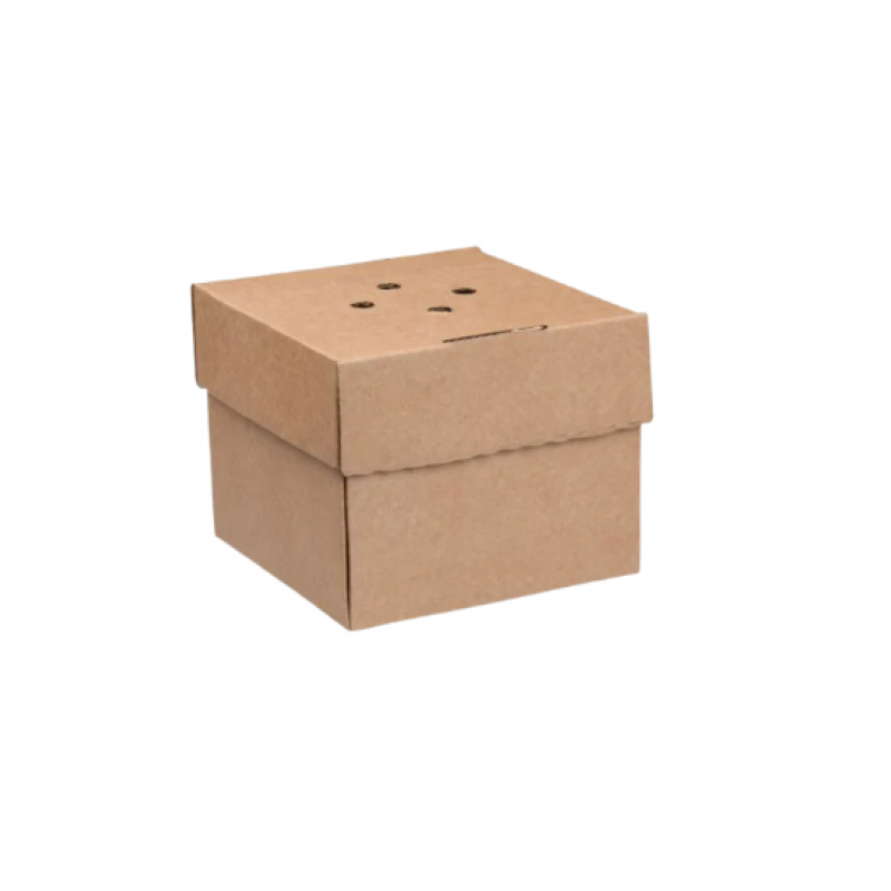 Premium Fold Out Burger Box (100s)