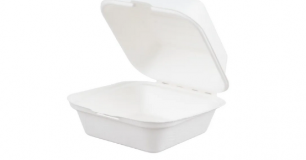 6 inch Bagasse Burger Box 15x15cm (8x50)