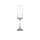 Champagne Glasses
