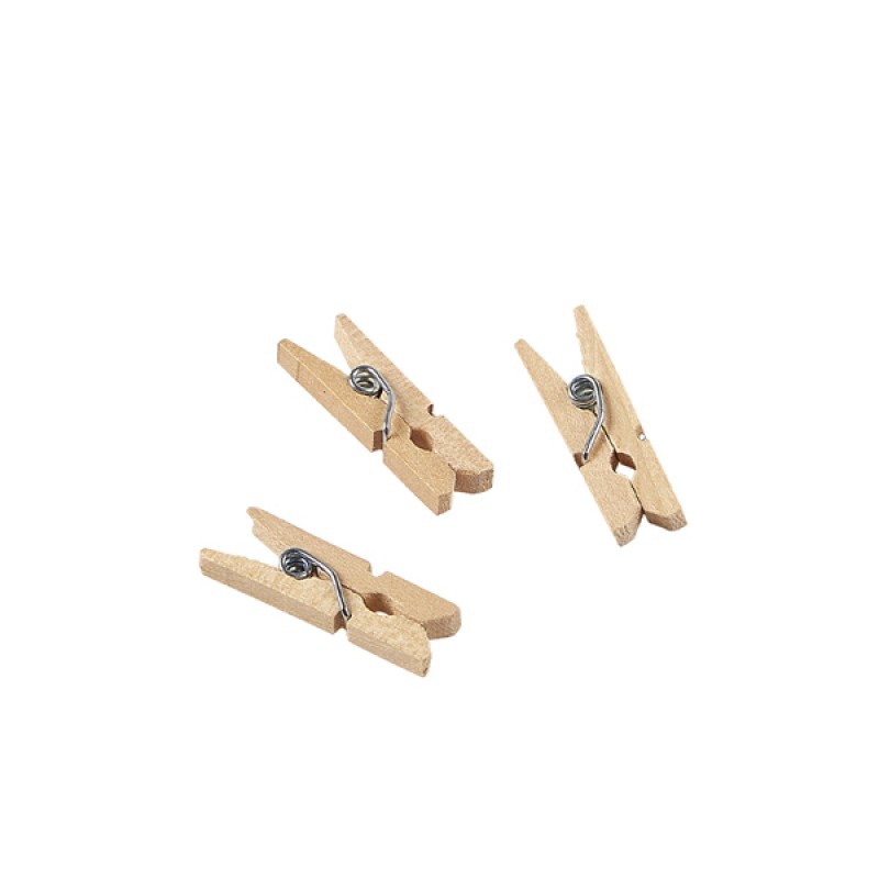 Miniature Wooden Pegs 2.5cm/1 Miniature Wooden Pegs 2.5cm/1