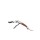 Corkscrews, Bottle Openers & Ice Tongs